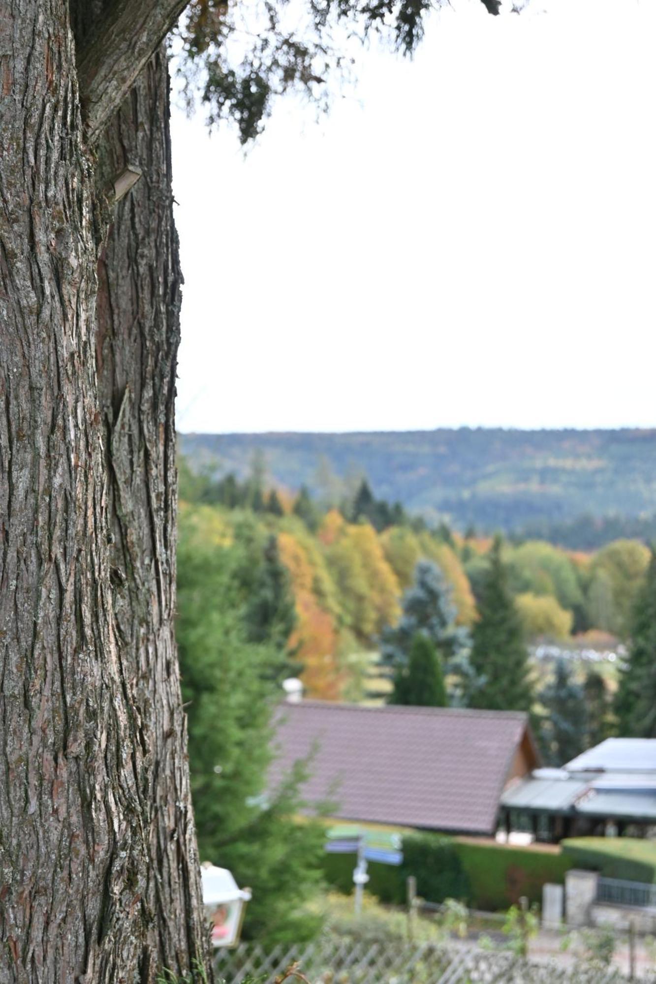 Hotel Talblick Dobel Zewnętrze zdjęcie